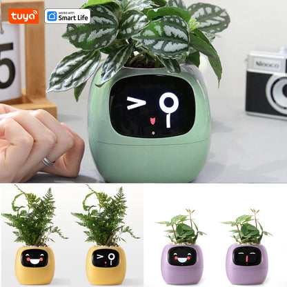 🌱 🤖 AI Smart Planter