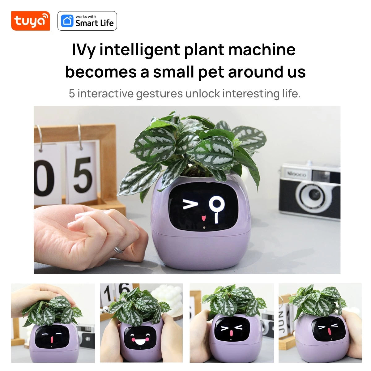 🌱 🤖 AI Smart Planter