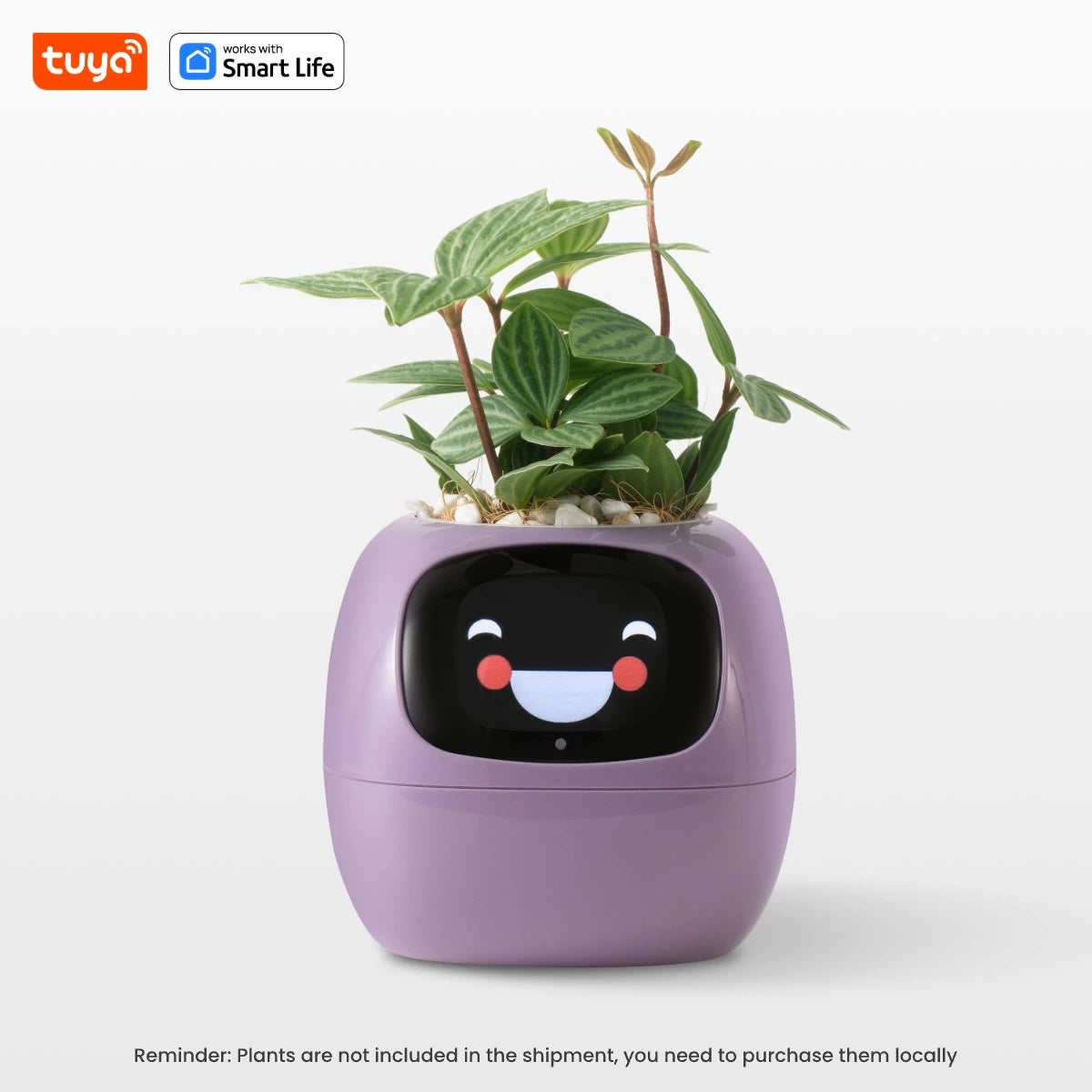 🌱 🤖 AI Smart Planter