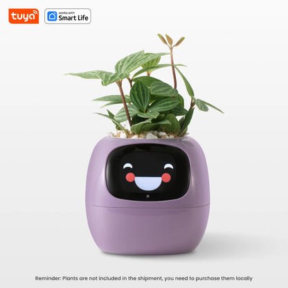 🌱 🤖 AI Smart Planter