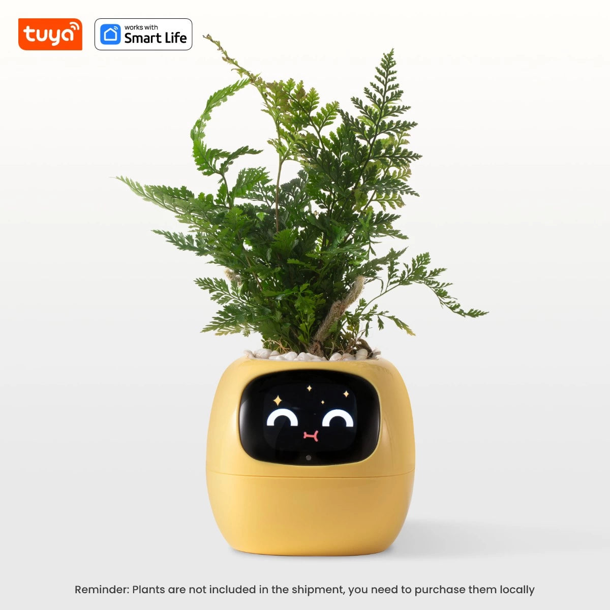 🌱 🤖 AI Smart Planter