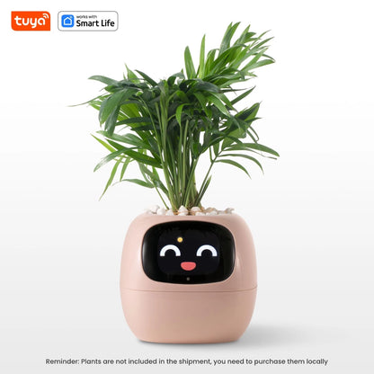 🌱 🤖 AI Smart Planter