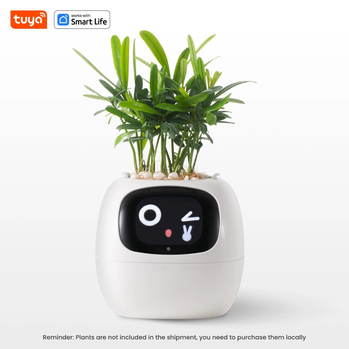 🌱 🤖 AI Smart Planter