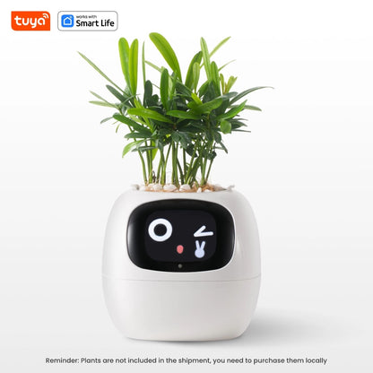 🌱 🤖 AI Smart Planter