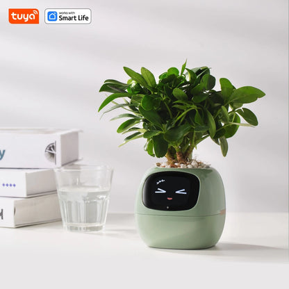 🌱 🤖 AI Smart Planter